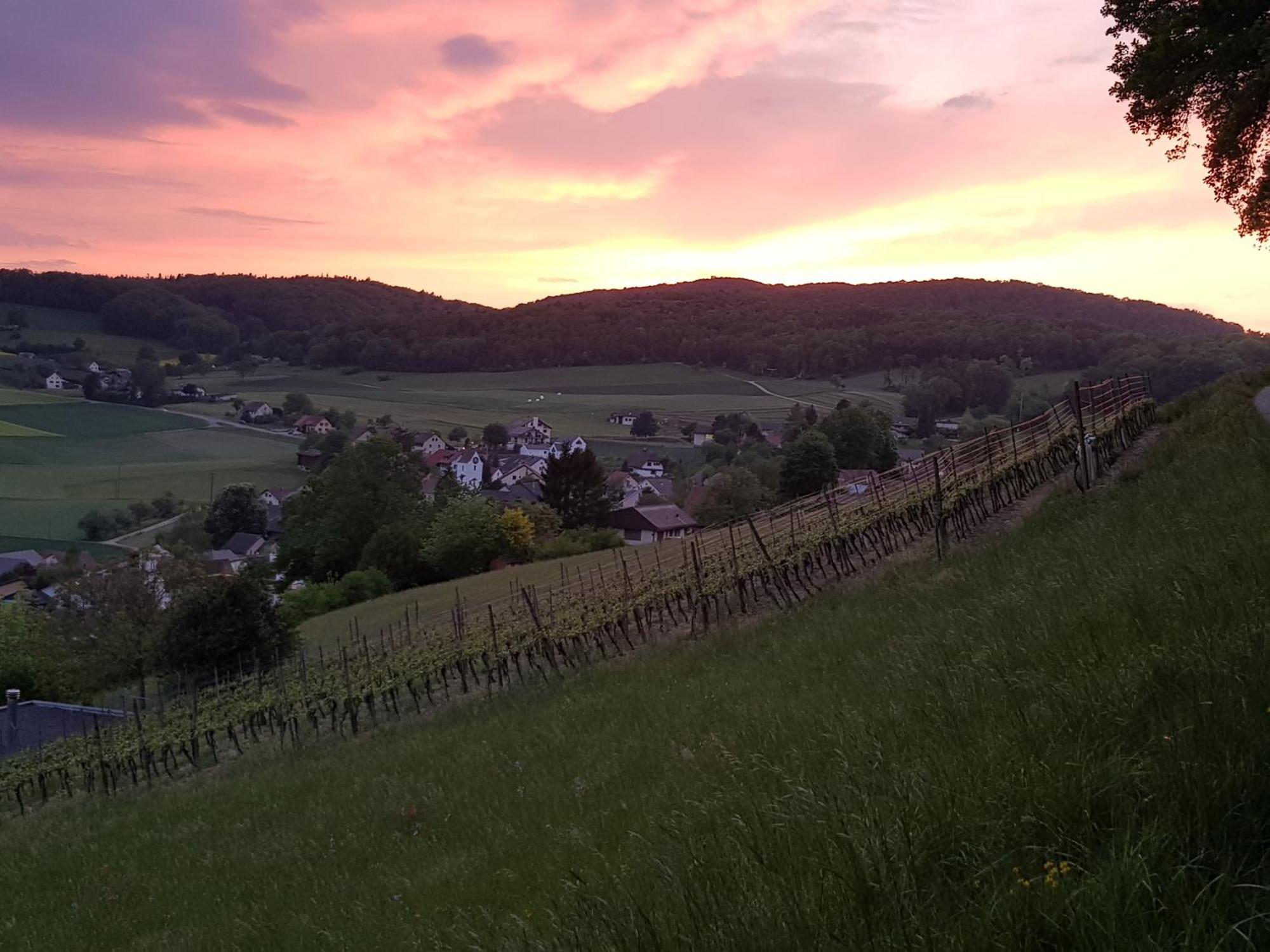 Bnb Moenthal Im Jurapark ภายนอก รูปภาพ
