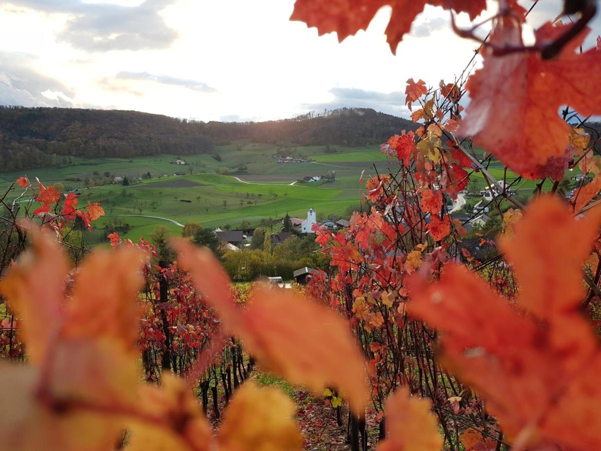 Bnb Moenthal Im Jurapark ภายนอก รูปภาพ